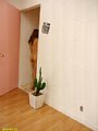 031.jpg