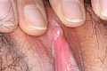 048.jpg