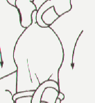 bx02.gif (3865 r`)