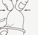 bx03.gif (3984 r`)