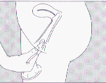 bxx2.gif (7340 r`)