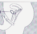 bxx3.gif (5858 r`)