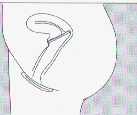 bxx4.gif (5852 r`)
