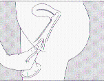 bxx2.gif