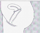 bxx4.gif