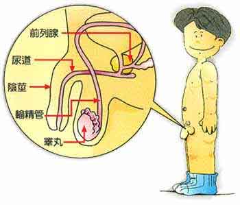 yinjing1.jpg