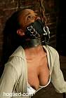 060F2955_RT8.jpg