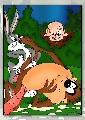 6